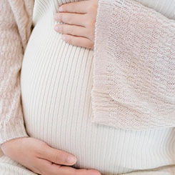 通过这种🎽神经芯片，🈳🤵操作员可以远🇳🇺程向鸽子🇰🇮的大脑🕥发送信号，🗽🇳🇺